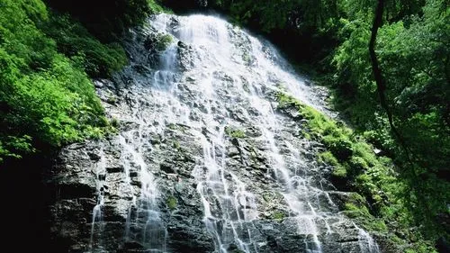 高性能智慧智慧